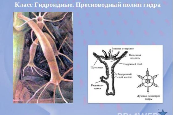 Кракен маркетплейс купить порошок
