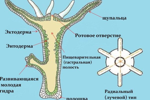 Кракен нарко шоп