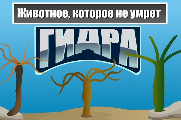 Кракен как проверить зеркало