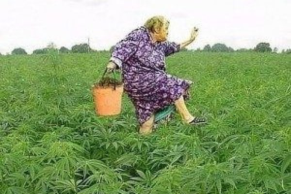 Не получается зайти на кракен