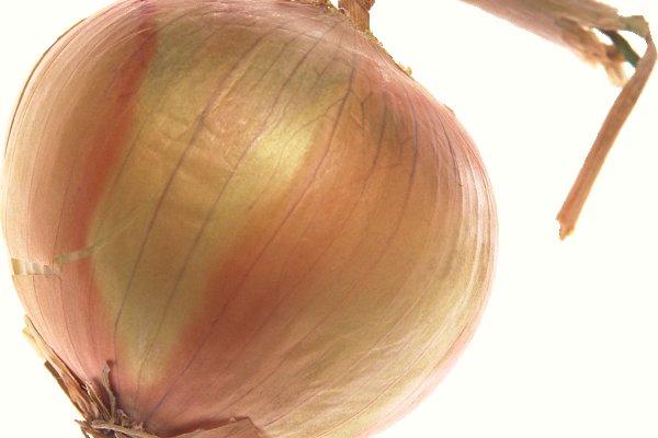 Кракен зеркало onion
