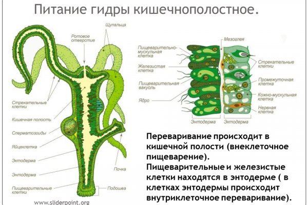 Кракен черный сайт