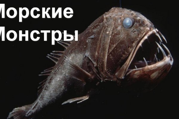 Как зайти на кракен в торе