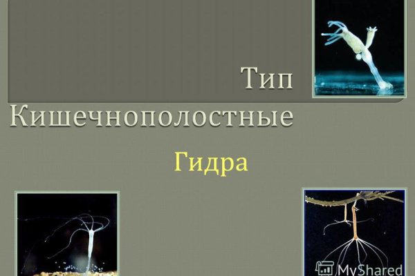 Кракен маркетплейс ассортимент