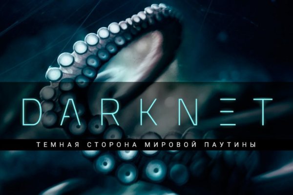 Kraken 6 at