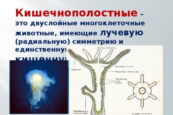 Кракен перестал работать